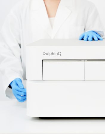 dolphinq-onerun-1